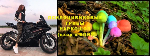 шишки Вязьма